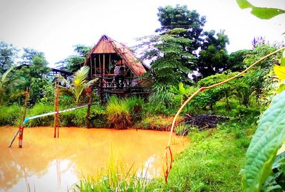 Overdue return to land of rocket men