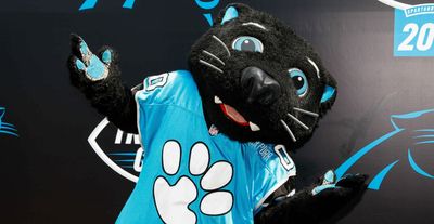 Panthers ranked 7th-most forgettable NFL team