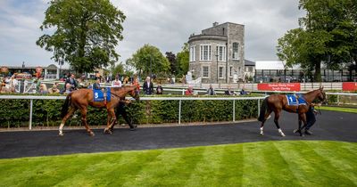 Irish Derby tips and race card - list of runners at the Curragh on Sunday