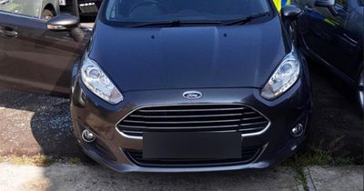 Car thieves caught after falling asleep in back of stolen Ford Fiesta