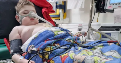 Terminally ill child brought home to enjoy 'big party' during final days