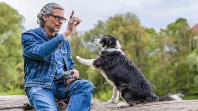 Improve your dog’s behavior with these three genius tips from an expert trainer
