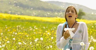 Hay fever symptom that can often be confused and ignored, according to health experts