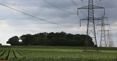 Plan to change planning rules to allow hundreds of new pylons across the country