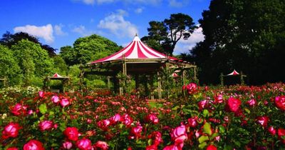 Rose Week festival at Lady Dixon Park will not go ahead for another year