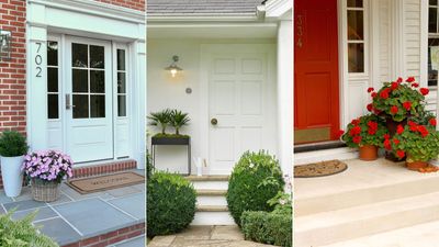 10 front door plants that will add a decorative touch to your home's entrance