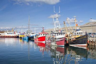 Orkney council to look at proposals to leave UK and become territory of Norway