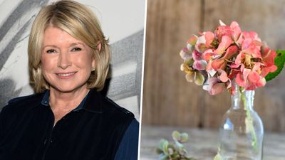 Martha Stewart reveals a genius hydrangea cutting trick to make them last longer in a vase