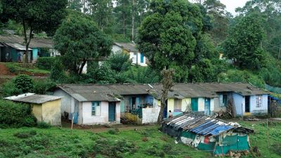 601 non-tribal families relocated under Navakiranam scheme