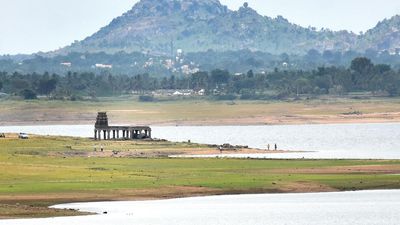 Farmers in South Karnataka region staring at lower yield