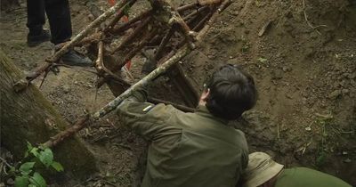 British WW2 fighter planes discovered buried in Ukrainian forest