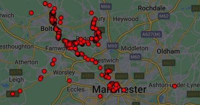 The areas where 'dangerous' giant hogweed is growing in Greater Manchester