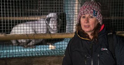 'Fur farms deal unspeakable suffering to animals – and are killing the planet'