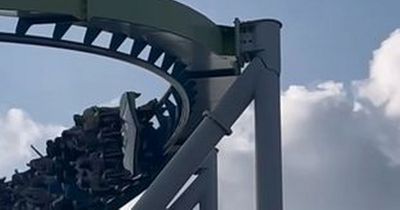 Theme park shuts down rollercoaster after visitor notices crack in support beam