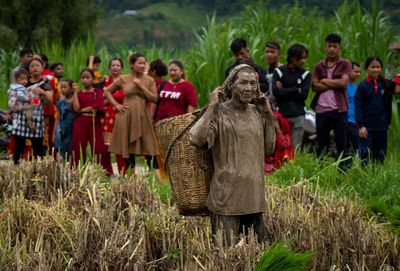 Farmers in Nepal celebrate rice planting day with special feasts and festivities