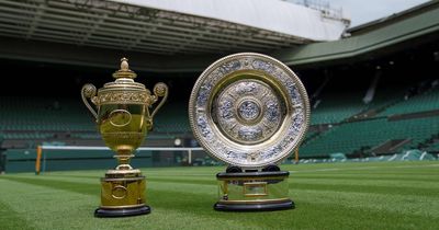 Wimbledon prize money 2023: How much do winners get for each round?