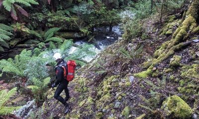 Celine Cremer: waterfall and river to be searched for missing Belgian tourist in Tasmania