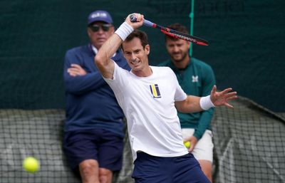 Andy Murray says there's 'good chance' of Just Stop Oil disrupting Wimbledon