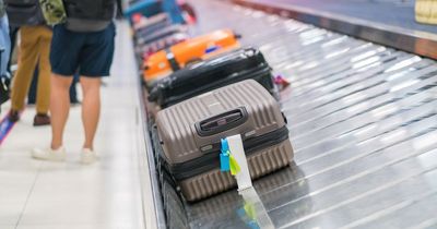 How to make sure your suitcase is first off plane as experts share top tips