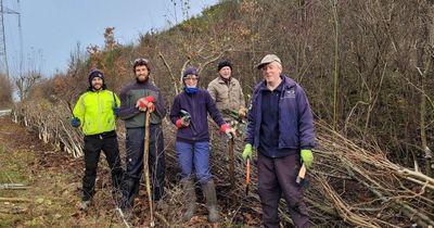 Countryside charity awarded £50,000 to restore South West hedgerows