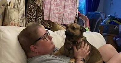 'My rescue dog saved my life just months after I saved hers'