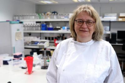 Testing begins for Orkney breast cancer gene link