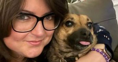 'I thought my dog was just being weird but she was trying to tell me I had cancer'