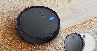 You can get a robot vacuum cleaner for less than £20