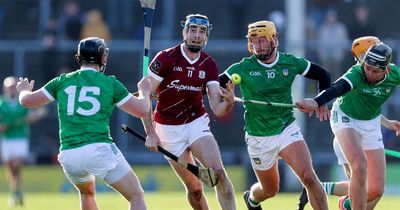 Limerick v Galway date, throw-in time, tickets, TV and stream information, betting odds and more