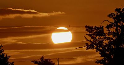 June hottest on record, Met Office confirms