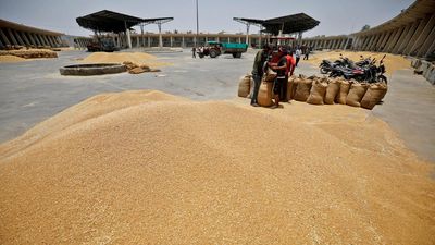 Andhra Pradesh: 6,400 MTs of wheat, 7,000 MTs of rice to be e-auctioned on July 5