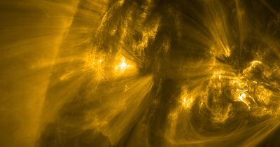 Astronomers discover ‘shooting stars’ on the sun