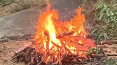 Churna tiger beheading case: Tribal summoned for questioning found hanging