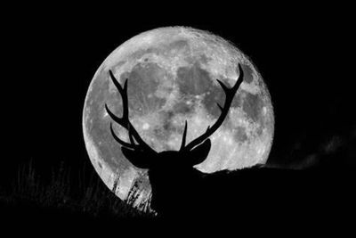 How to see the Buck Moon as lunar spectacle becomes visible across Scotland