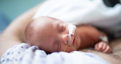 'Premature baby's brain is affected by what their parents do for a living'