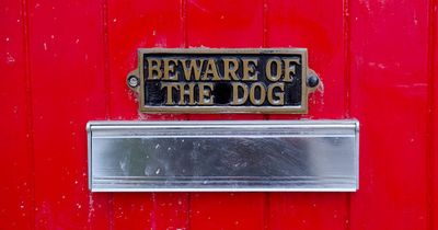 56 dog attacks on NI posties in one year