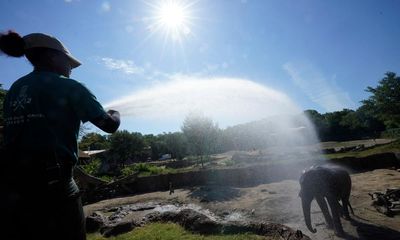 Millions under US heat warnings as record temperatures to continue