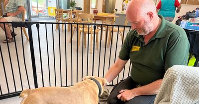 Leeds Dogs Trust 'drowning in dogs' as 'crying' owners can't afford to keep them