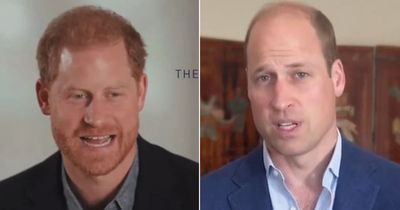 Prince Harry leaves brother William OUT of statement just days after reunion for charity