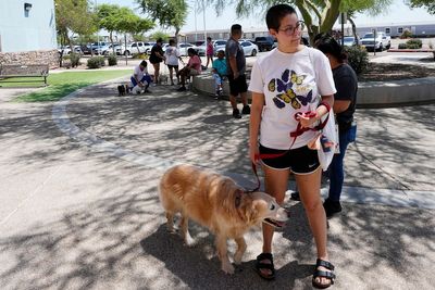 ThunderShirts, dance parties and anxiety meds can help ease dogs' July Fourth dread