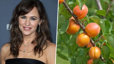 We're inspired: actress Jennifer Garner takes us on a tour of her family fruit garden