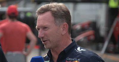 Christian Horner agrees with Max Verstappen "amateurish" jibe after Austrian GP farce