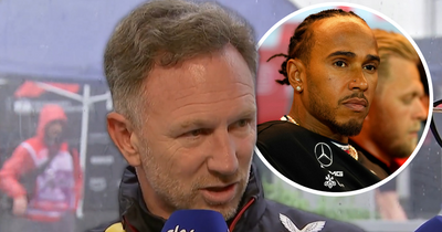 Christian Horner laughs off Lewis Hamilton's plea for F1 bosses to stop Red Bull