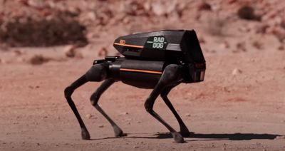 Robot dogs race across a simulated Red Planet in new reality TV series 'Stars on Mars' (exclusive)