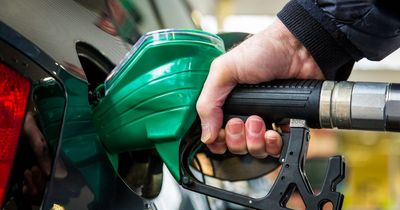 'Government must hit those found breaching petrol price rules with big penalties'