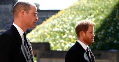 Prince Harry ignores brother William in statement days after they both appeared for awards