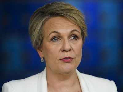 'Nature positive' laws in Australia's future: Plibersek