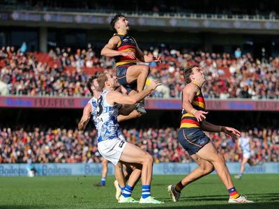 Rankine stars as Adelaide hammer North Melbourne in AFL