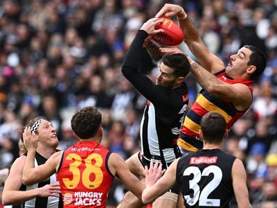 Lowly North similar to pacesetters Collingwood: Nicks