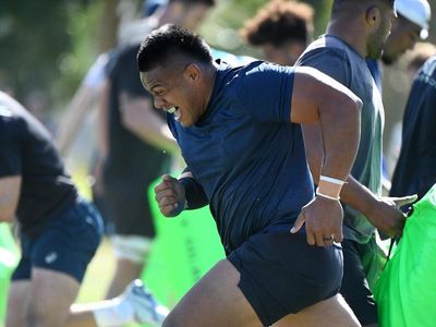 Alaalatoa set to add starch to Wallabies pack for Boks